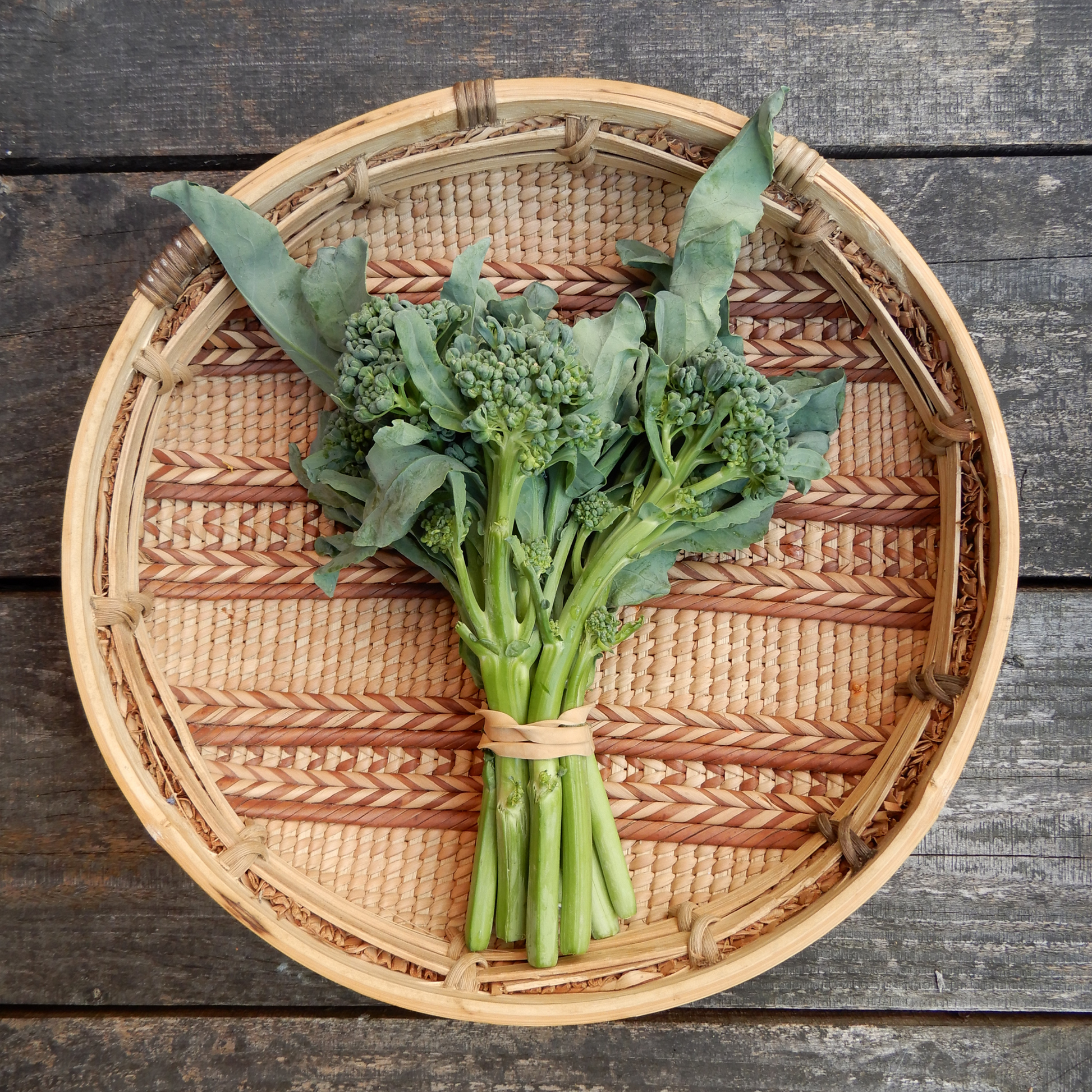 Heirloom broccoli seeds