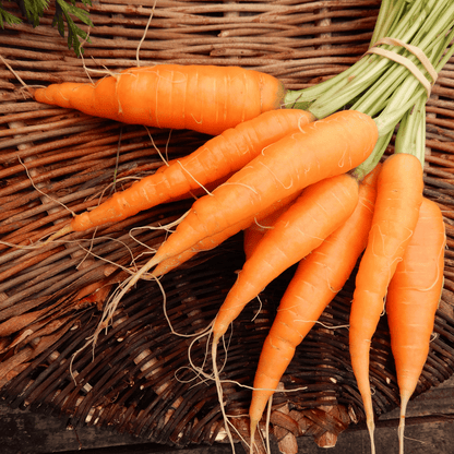 Kitchen garden carrot seeds dorset