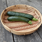 Grow your own courgette dark star