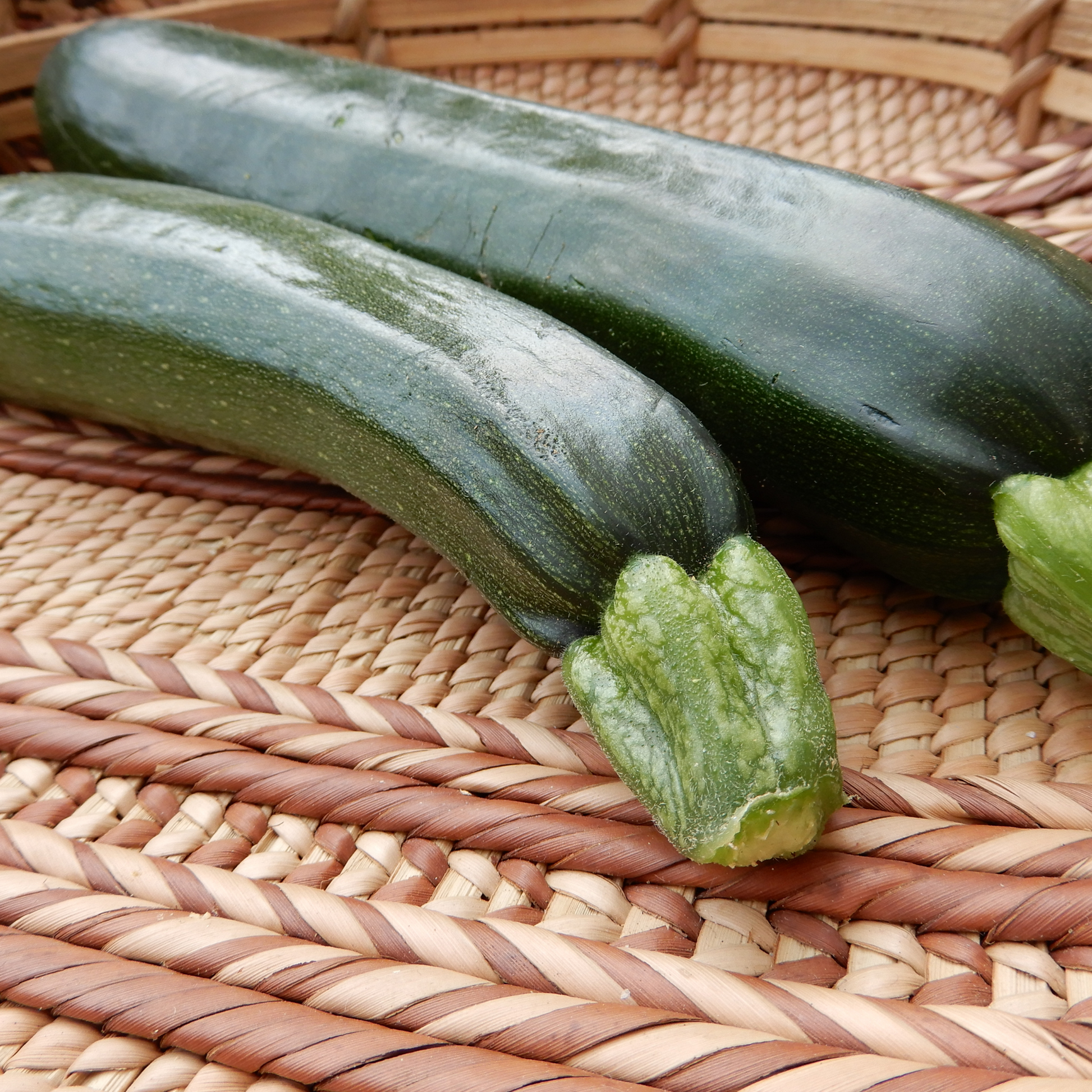 Courgette Dark Star seeds dorset