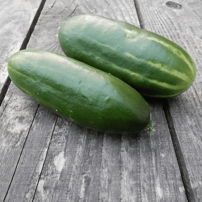 Grow your own cucumbers