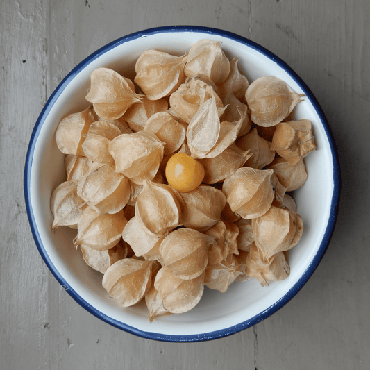 Physalis Marys Niagra Seeds