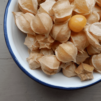 Grow Your own physalis cape gooseberry